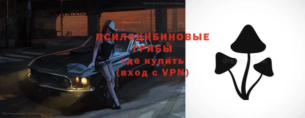 PSILOCYBIN Куйбышев