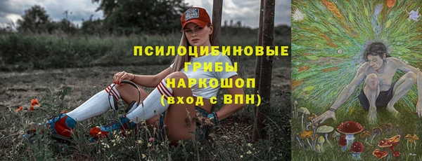 PSILOCYBIN Куйбышев