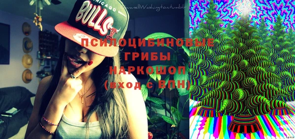 PSILOCYBIN Куйбышев