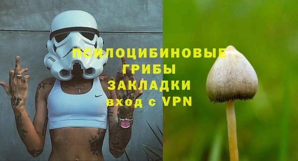 PSILOCYBIN Куйбышев
