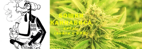 PSILOCYBIN Куйбышев