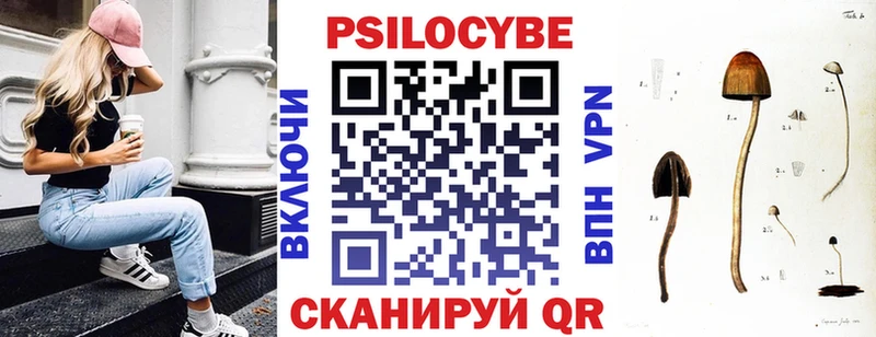 Псилоцибиновые грибы Cubensis Химки