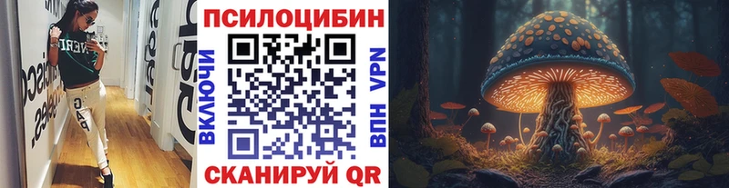 Псилоцибиновые грибы GOLDEN TEACHER  Химки 