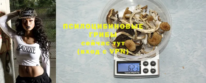 купить наркотики сайты  Химки  Псилоцибиновые грибы Magic Shrooms 