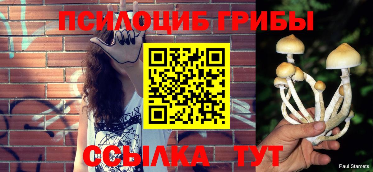 Псилоцибиновые грибы MAGIC MUSHROOMS Химки